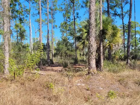 7620 19th Pl Wheeler, La Belle, FL 33935 photo 5