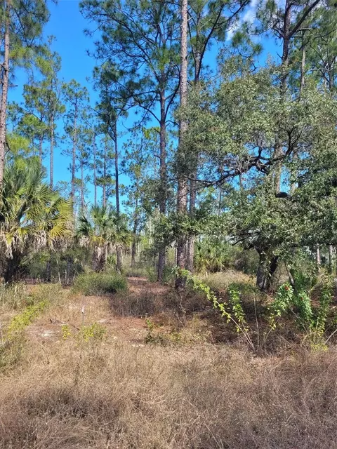 7620 19th Pl Wheeler, La Belle, FL 33935 photo 2