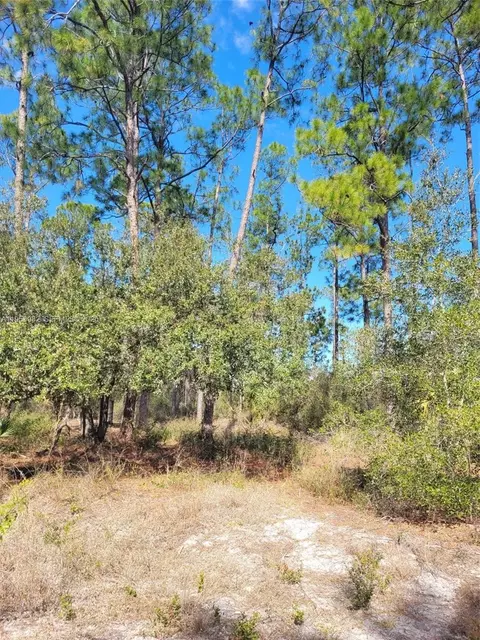 7620 19th Pl Wheeler, La Belle, FL 33935 photo 4