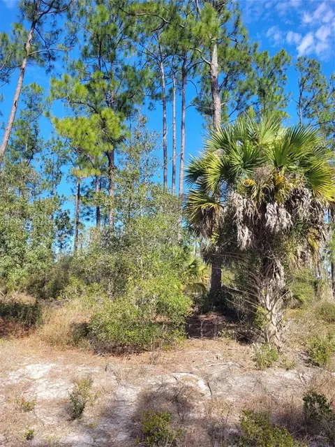 7620 19th Pl Wheeler, La Belle, FL 33935 photo 3