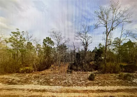 00 Hudson St, Palatka, FL 32148