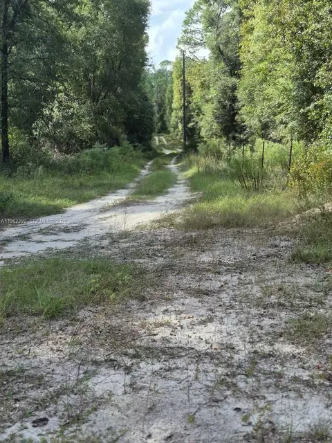 2390 NW 65th Ave, Bell, FL 32619