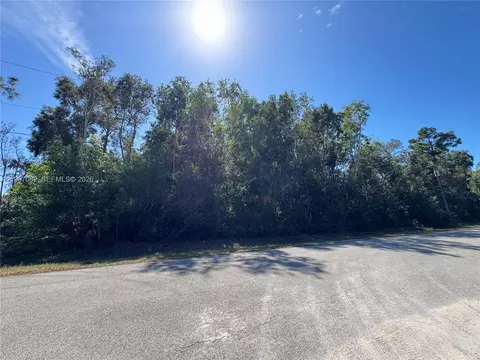 Unincorporated Spanish Oaks Lane, Other, FL 34119