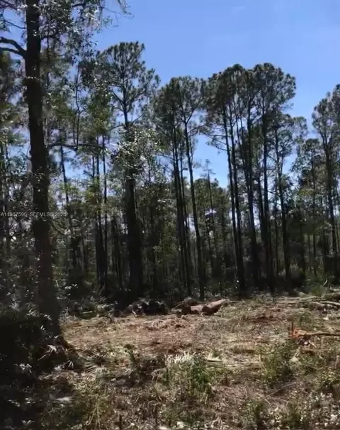 216 Marie Ave, Other, FL 32139 photo 7
