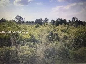 330 Hermosa Ave, Lehigh Acres, FL 33974