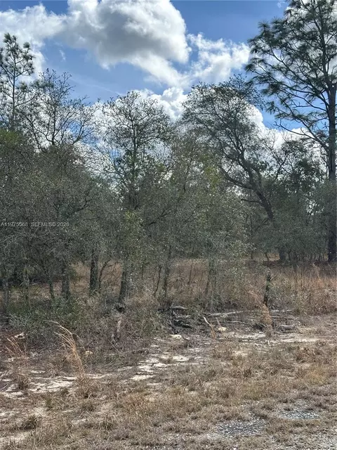 Undisclosed, Ocala, FL 34481 photo 3