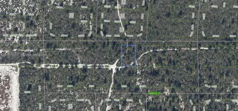 437 Souvenir Ln, Lake Placid, FL 33852