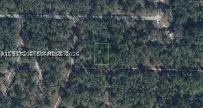 3215 Delafield, Lake Placid, FL 33852