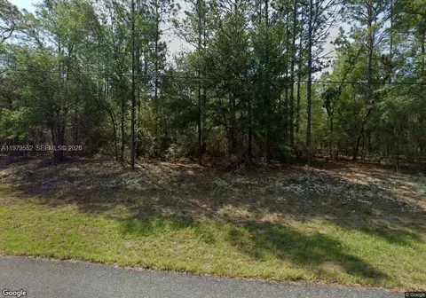 208 W Ruska Pl, Citrus Springs, FL 34434