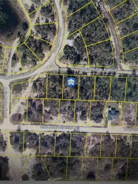 459 Ruba Ave, Lake Placid, FL 33852