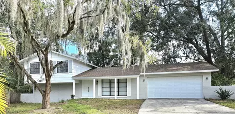 3610 Greenstone Pl, Valrico, FL 33596