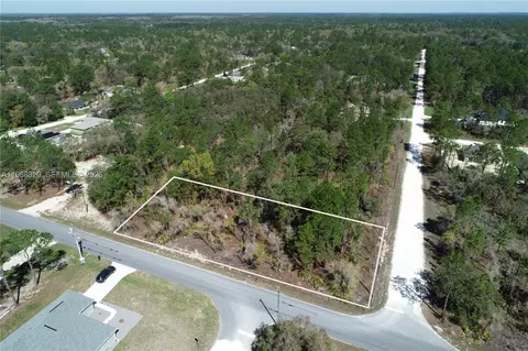 0 Wood Owl Ave, Other, FL 34614