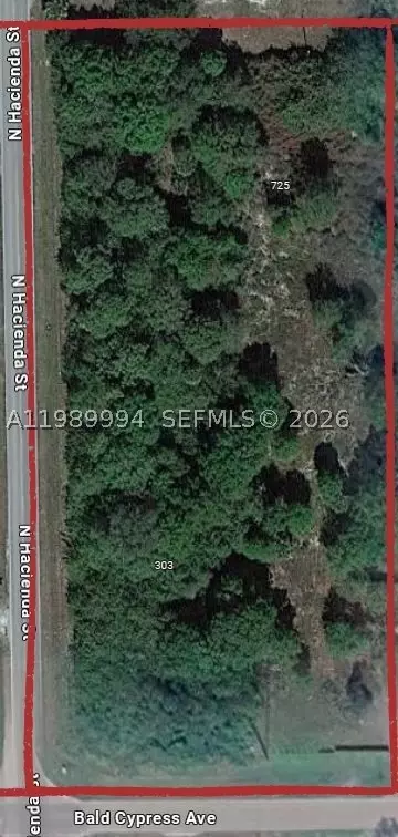 303 Bald Cypress, Clewiston, FL 33440