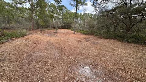 34349 Manuel St, Other, FL 33597 photo 5