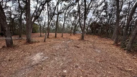 34349 Manuel St, Other, FL 33597 photo 4