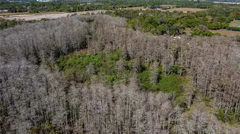 900 G Rd, La Belle, FL 33935 photo 13