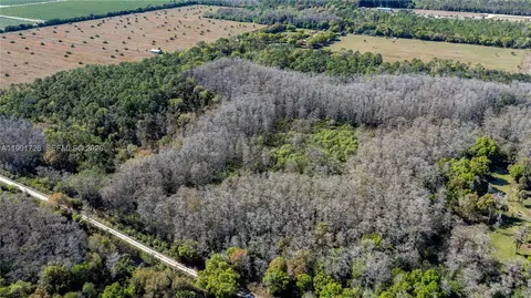 900 G Rd, La Belle, FL 33935 photo 22