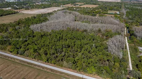 900 G Rd, La Belle, FL 33935 photo 9