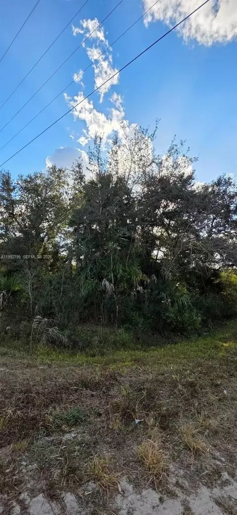 19210 NW 278 St, Okeechobee, FL 34972 photo 7