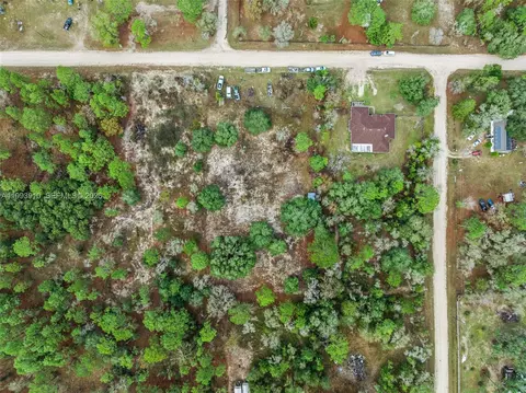 View/Area - 14170 SE 4th St, Williston, FL 32696 photo 10 of 12