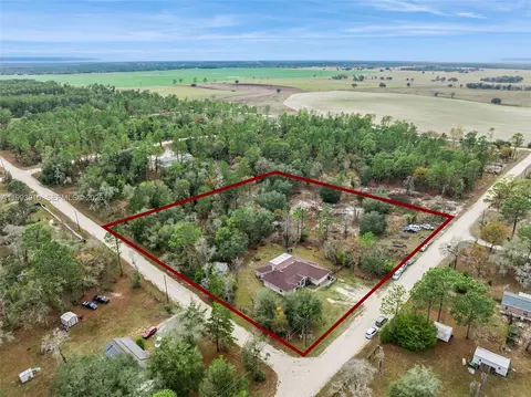 View/Area - 14170 SE 4th St, Williston, FL 32696 photo 7 of 12