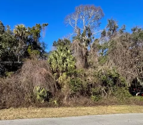 11147 W State Park St, Other, FL 34428