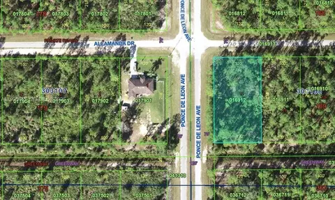 0 Allamanda, Other, FL 33855