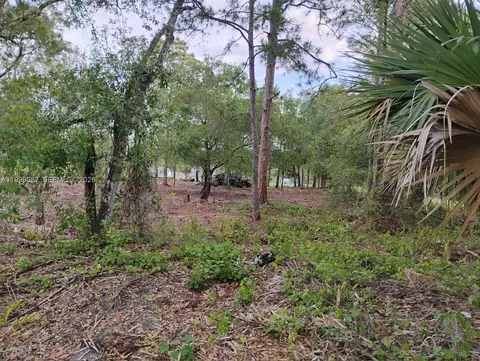 845 Appaloosa Ave, Clewiston, FL 33440