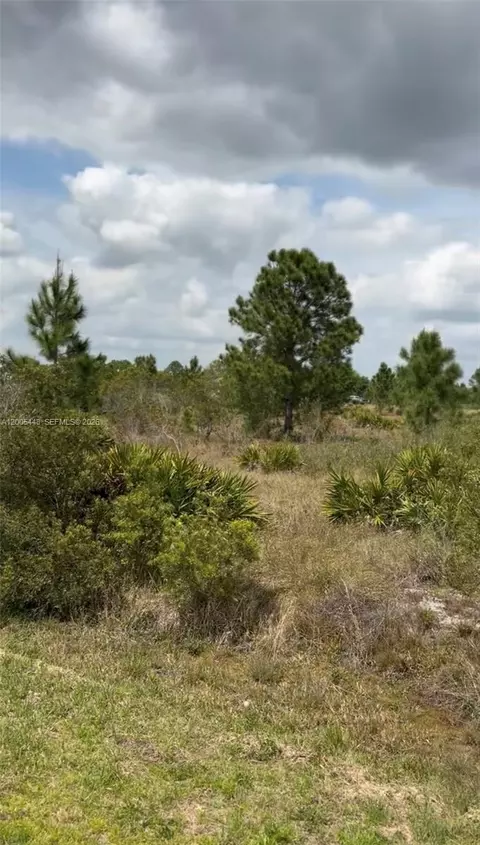 2458 W Butkus Rd, Avon Park, FL 33825