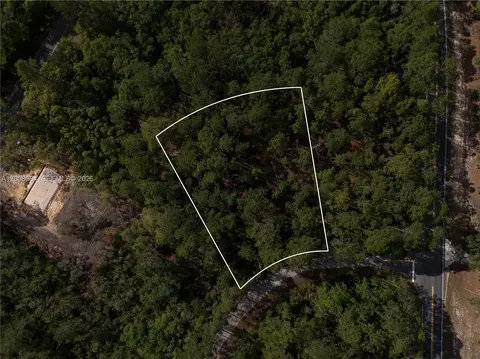 0 Fisher Trace Dr, Other, FL 32179