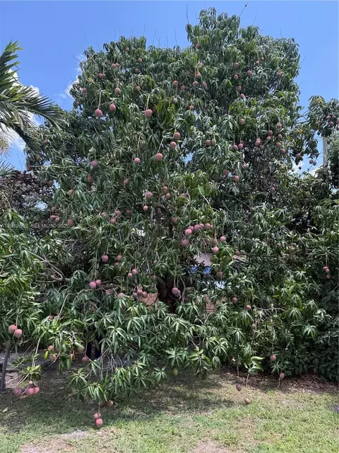 Exterior - 399 W 12th St, Hialeah, FL 33010 photo 8 of 8