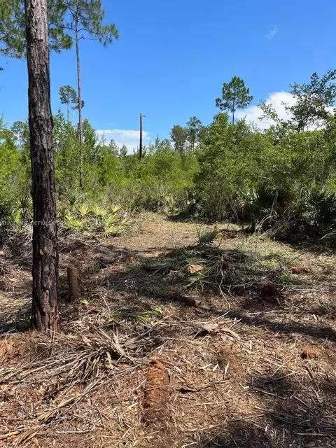 117 Lodge Pole Cir, Other, FL 32139 photo 6