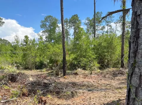 117 Lodge Pole Cir, Other, FL 32139 photo 5