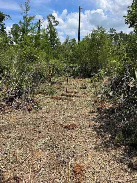 117 Lodge Pole Cir, Other, FL 32139 photo 4