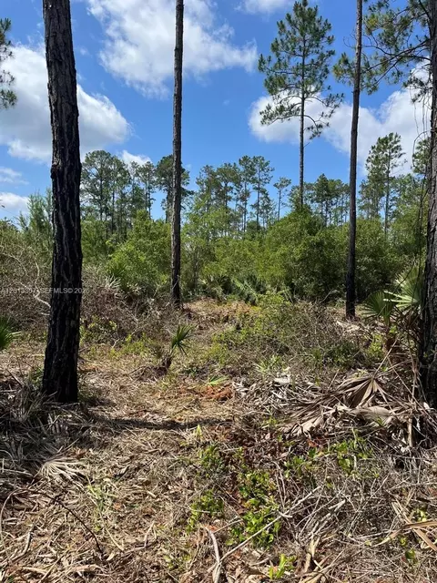 117 Lodge Pole Cir, Other, FL 32139