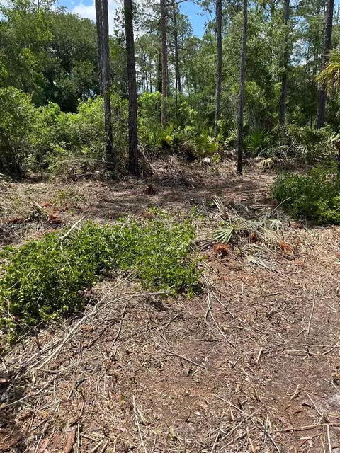 117 Lodge Pole Cir, Other, FL 32139 photo 3