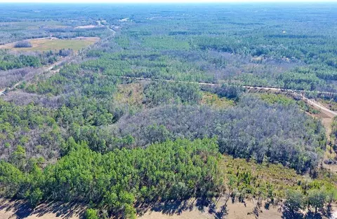 Vacant Land Sands Loop SW Greenville, Other, FL 32331