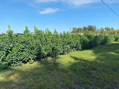 15542 SW 212th Ave, Miami, FL 33187