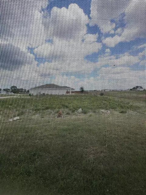 Exterior - 9020 W Mac Ct, Labelle, FL 33935 photo 2 of 3