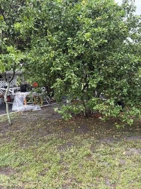 Exterior - 336 E 41st St, Hialeah, FL 33013 photo 5 of 6
