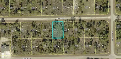 1222 E Count St, Lehigh Acres, FL 33974