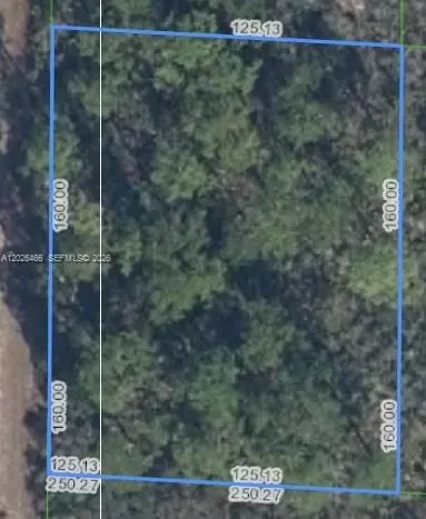 1139 Brook Hollow Rd, Lake Placid, FL 33852