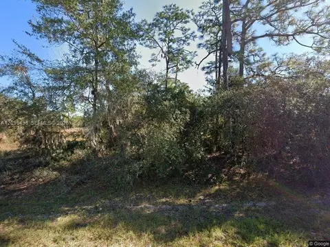 1334 St Augustine Ct, Other, FL 34759