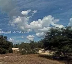 517 Dreamland Ave, Lake Placid, FL 33852