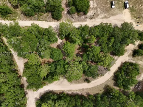 225 Mirror Lake Dr, Other, FL 32148 photo 17