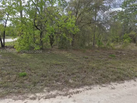 00 NE 4 St, Williston, FL 32696 photo 5