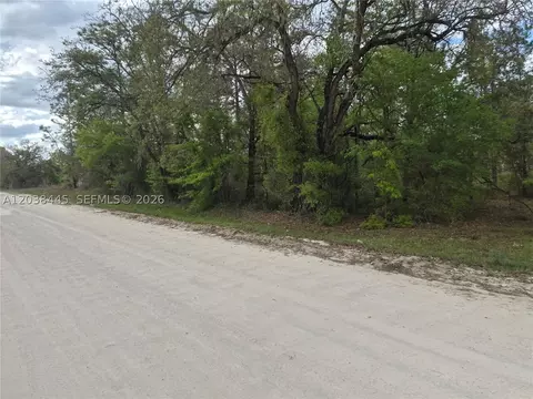 00 NE 4 St, Williston, FL 32696 photo 4