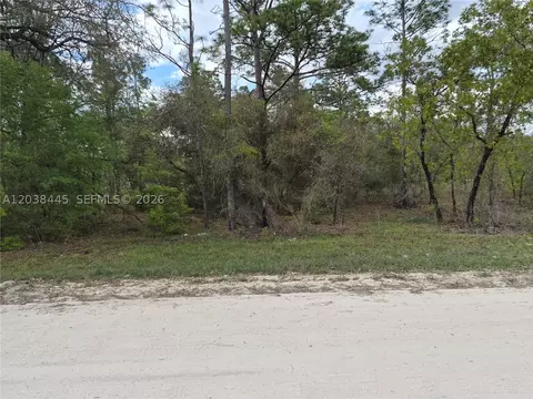 00 NE 4 St, Williston, FL 32696 photo 3