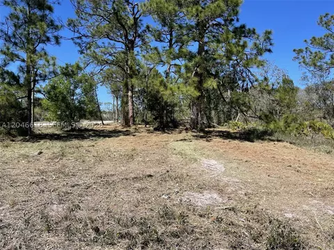 3202 Sr 66, Sebring, FL 33185 photo 7