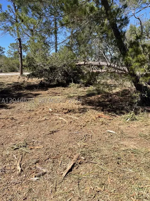 3202 Sr 66, Sebring, FL 33185 photo 3